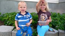 healthy summertime treats