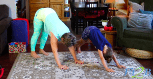 Animal Acrobats Kids Workout