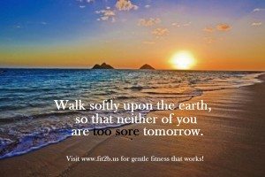 Gentle, tummy safe, core focused workouts ~ Fit2b.com