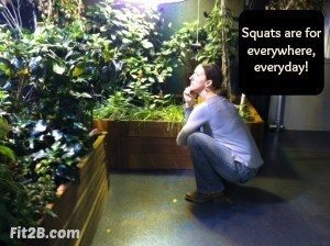 Squats are for everywhere, every day! Fit2B.com