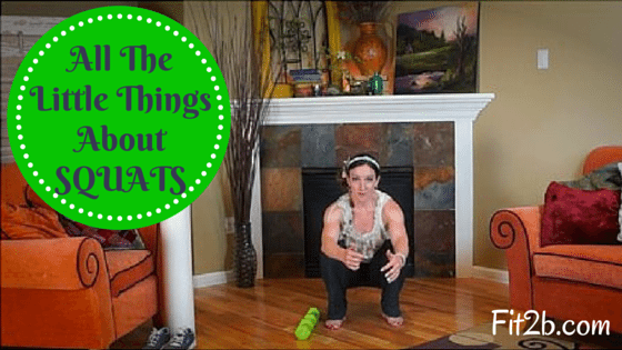 All The Little Things About Squatting - Fit2b