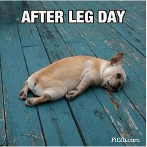 After Leg Day Fit2b.com