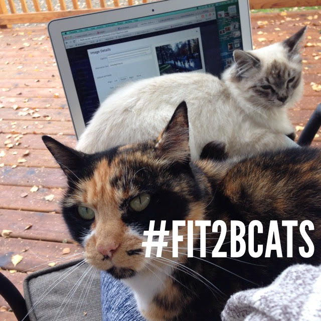 The pets of #fit2b always stage cameo appearances in our workouts. They don't want to be left out!