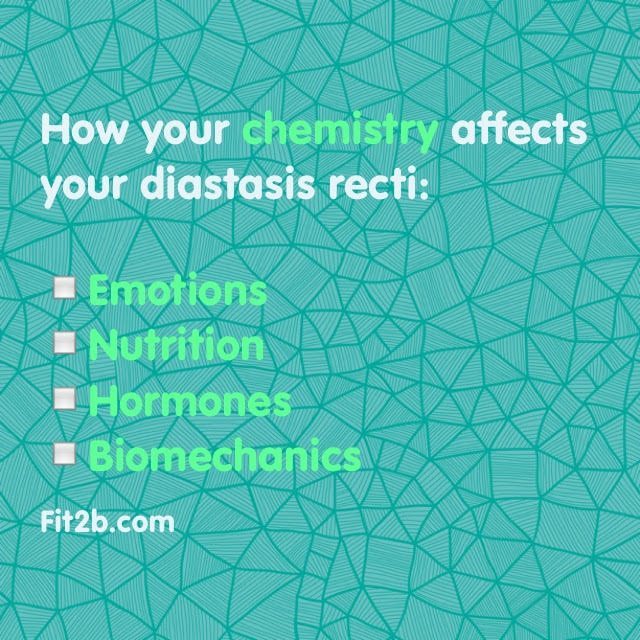 How Your Chemistry Affects Your Diastasis Recti - Fit2B Studio