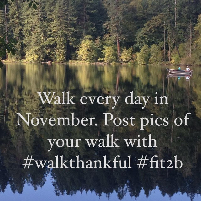 Join the November Walking Challenge with Beth of Fit2B! Click the link for group info!
