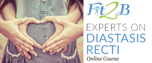 Experts in Diastasis Recti - ecourse on fit2b.com