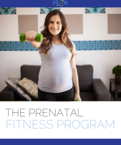 The Prenatal Fitness Program - Fit2B.com