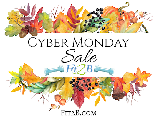 #cybermonday #homeworkout #diastasisrecti #tummysafe #onlineworkout