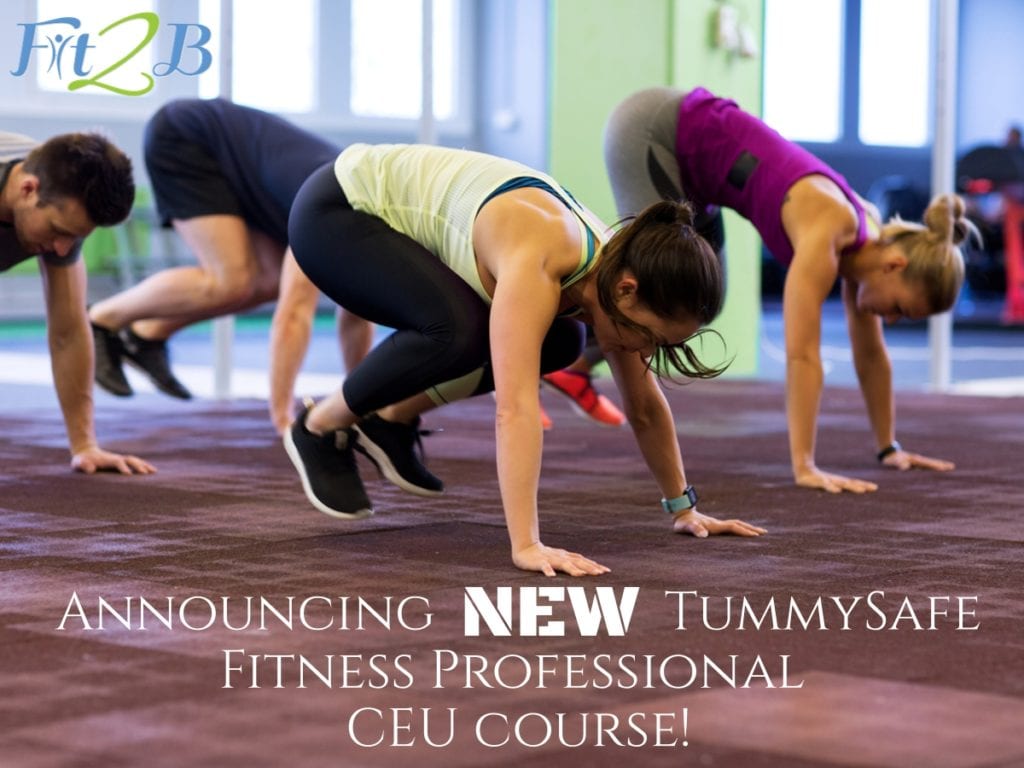 Announcing NEW TummySafe Fitness Professional CEU Course! - Fit2B.com