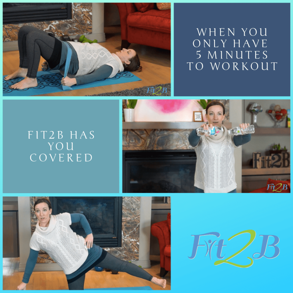 5 Minutes With Fit2B - Fit2B.com - Busy Mom, do you know you need a good arm workout / leg workout, but how? When you only have 5 min for your home workout, we got you covered with diastasis friendly and tummy safe routines. Check these out! - #fitnessjourney #fitnessmotivation #getfit #fitmomlife #bodypositive #fitmom #thefitlife #strongnotskinny #homefitness #abworkout #homeworkouts_4u #healthylife #healthylifestyle #fitnessroutine #coreworkouts #diastasisrecti #diastasis #diastasisrecovery #fit2b #bunsofsteel