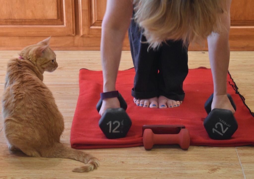 Fit2B Studio