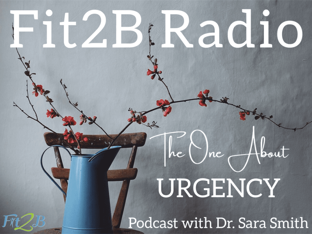 S2:3 The One About Urgency with Dr. Sara Smith - Fit2B.com - How often do we as busy moms look for anxiety relief with too many “urgent” to-do’s on our checklist? We may even find ourselves wrestling with the urge to urinate in between carpool lines and baseball practice. Let’s listen into these busy mom tips and learn what is a priority and what can wait. #anxiety #worry #anxietyrelief #mindset #healthy #motherhood #busymoms #busymomtips #fit2b #diastasis #diastasisrecti #incontinence #fitness #homeworkouts #workouts #healthylifestyle #selfcare