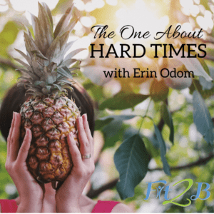 S2:10 The One About HARD TIMES - Fit2B.com - Fit2B knows busy moms wonder, “Are there diastasis recti exercises available that will help me even if I have adrenal fatigue? Is there an exercise program that will actually help me with my fitness motivation?” Listen in as we discuss on this candid podcast how Fit2B and Trim Healthy Mama helped our guest strategically return to fitness and walk through a hard time she might not have been healthy enough to get through otherwise. #fit2b #diastasis #diastasisrectiexercises #homefitness #healthy