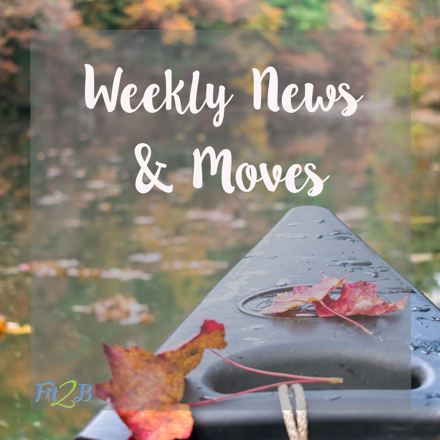 Weekly News & Moves: Sample a free workout for Diastasis Recti on fit2b.com