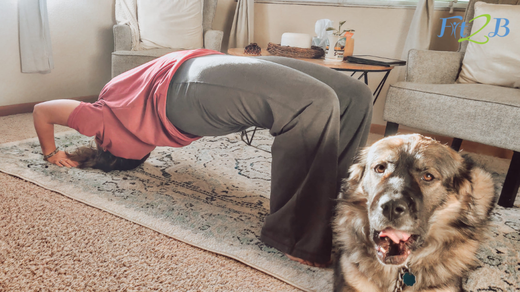 I heard the NPR Segment on “Mummy Tummy” so I know what to do for my  Abdominal Separation… — Whole Body Health Physical Therapy Portland. Oregon