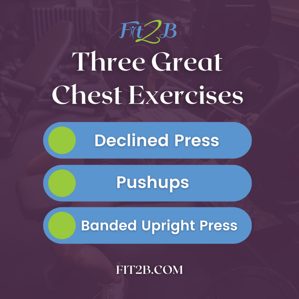 Fit2B Studio