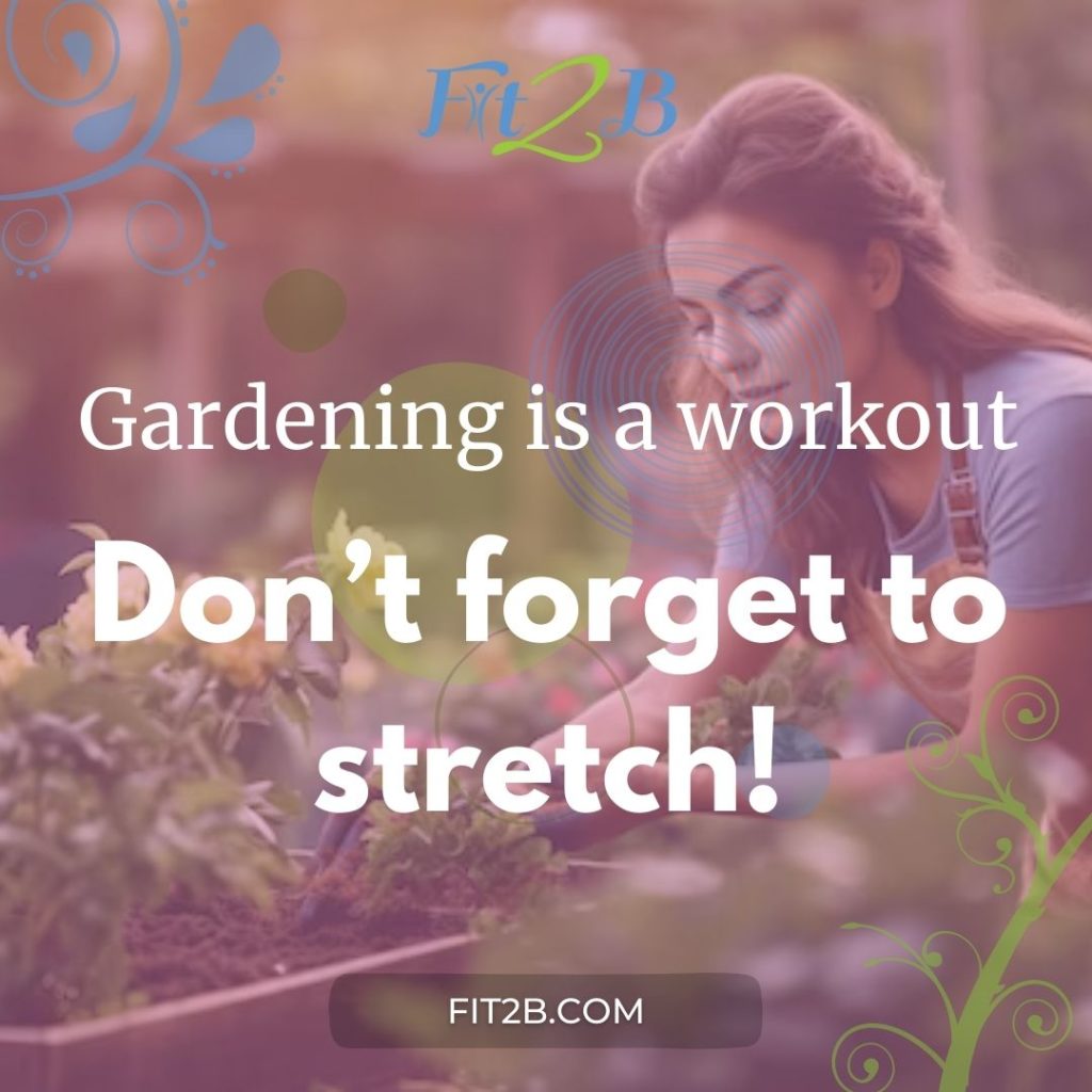 Fit2B Studio