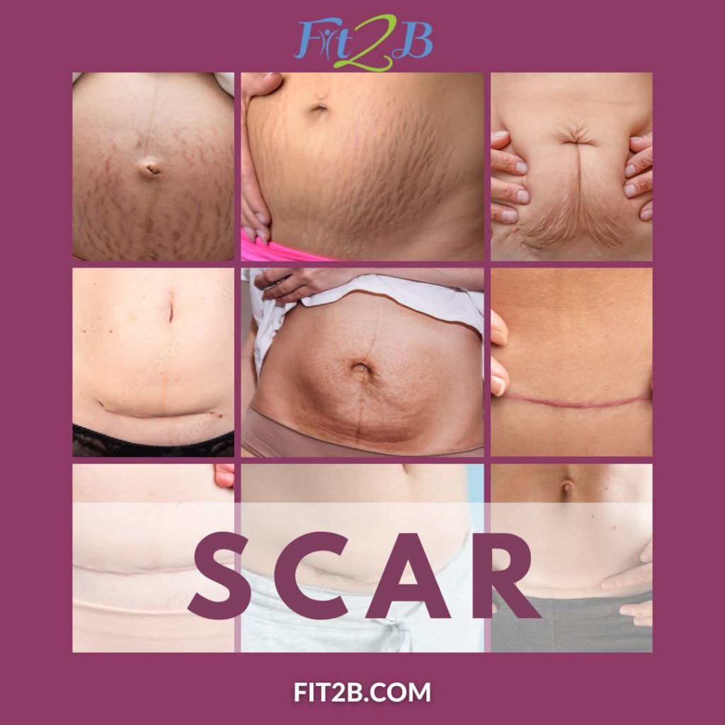Fit2B Studio